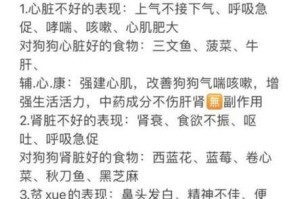 博美犬常见疾病及预防措施（掌握，让博美犬远离疾病的困扰）