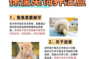 如何正确喂食兔子，让其健康成长（注意兔子的饮食习惯和营养需求，打造健康饮食计划）