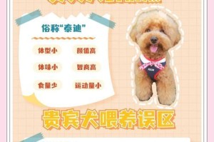 养泰迪的注意事项（爱护小泰迪，让它健康快乐）