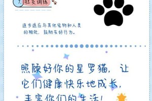 如何正确喂养小猫（让小猫健康成长的关键是什么？）