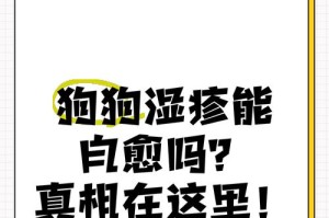 狗湿疹的成因及预防措施（揭开狗湿疹的真相，让宠物健康无忧）