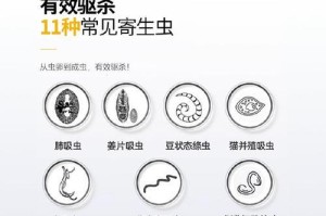 如何选择适合幼犬金毛的打虫药（寻找安全有效的幼犬金毛打虫药）