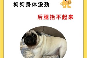 狗的身体生长期有限吗？（揭秘狗狗成长的秘密，身体成熟需要多久？）