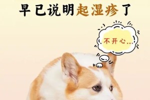 狗狗湿疹的康复时间及治疗方法（深入探讨狗狗湿疹的治愈时间和有效治疗措施）