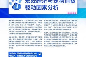 中国宠物市场的主要品牌（了解中国宠物市场中的知名品牌，选择适合自己的宠物伴侣）