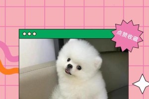 博美难产（探寻博美难产背后的困境与解决之道）