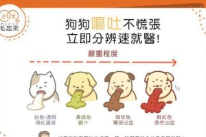 狗吐呕的原因及预防措施（了解狗吐呕的原因，保护宠物健康）