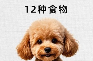 小狗需要多久开始吃东西？（探索小狗的饮食时间表）