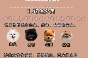 养博美需要注意的事项（打造健康快乐的博美宠物生活）