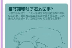猫咪喂养（猫咪喂食频率及每日饮食计划，）