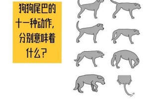 为什么狗狗要剁尾巴？（探究狗狗剁尾巴的原因与影响）