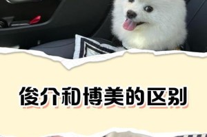 以俊介犬能活多久的探讨（探索以俊介犬寿命的因素及如何延长其寿命）