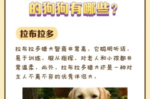 狗智商高的原因（探索背后的秘密，为什么有些狗智商高于其他犬种？）