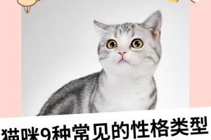 市场价与实际购买价格的差异（以几种常见猫咪为例，探讨市场价格与实际购买价格的偏差及原因）