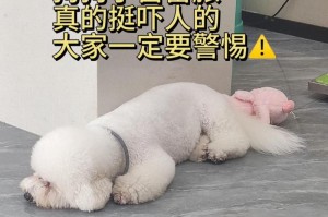 狗狗的桃子（狗狗的健康与美味，桃子无可替代）