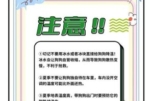 夏季养狗的注意事项，避免狗狗中暑的关键（炎炎夏日，如何保护你的爱犬不中暑）