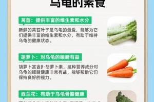 乌龟不吃东西的两种方法（解决乌龟不进食的有效措施）