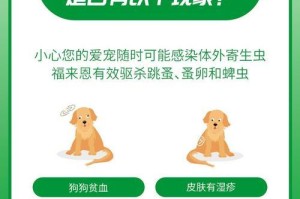 泰迪驱虫的最佳时间和方法（宠物狗的健康保障与驱虫周期探析）