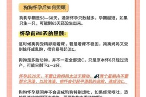 狗怀孕多久看的出来？（了解狗妊娠期的重要指标。）