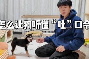 狗狗为何频繁呕吐（探究背后的原因与预防方法）