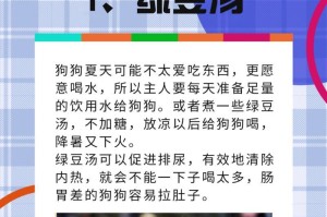 狗的饮食要点（饮食习惯、营养需求与食物选择）