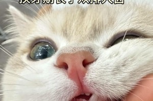 猫咪换牙的周期及新牙生长时间（了解猫咪换牙的周期，关心它们的口腔健康）
