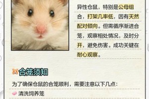 仓鼠合笼多久会打架？（探究仓鼠同住时的和平共处）