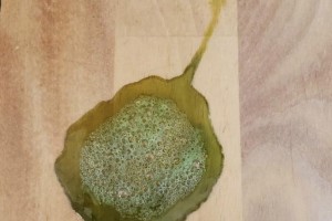 小狗吐了后应该吃什么药？（为你的小狗提供适当的药物治疗）