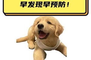 狗狗常见疾病及预防措施（保护宠物健康，早知道早预防）