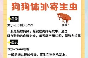 夏天驱虫，宠物狗保健必不可少（每月一次的驱虫措施，给狗狗一个健康的夏天）