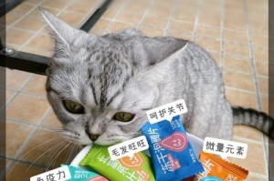 幼猫拉屎臭的原因及应对方法（揭秘幼猫排泄恶臭背后的原因，教你有效解决臭味问题）