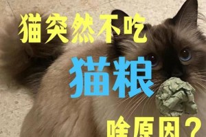 如何提高猫咪的胃口？（解决猫咪不吃猫粮的有效方法）