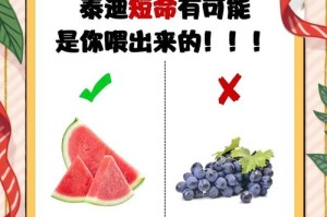 泰迪犬腹泻的康复时间及方法（了解泰迪犬腹泻的康复周期，掌握有效的治疗方法）
