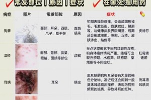 小狗感染虫的症状与治疗（详解小狗感染虫的症状及防治措施）
