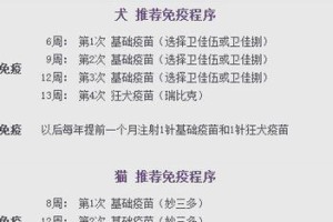 狗狗疫苗接种前后的注意事项（保护狗狗健康的重要步骤及注意事项）