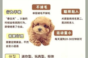 如何合理安排泰迪狗的陪伴时间（每天陪伴泰迪狗的最佳时长及注意事项）