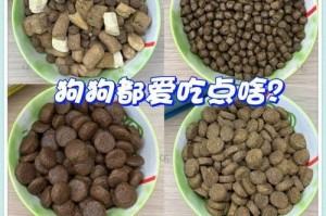 幼犬多久能吃幼犬粮？（了解幼犬进食时间的重要性，培养健康的饮食习惯）