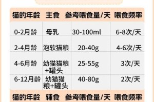 小猫崽的饮食习惯与成长关系（了解小猫崽的饮食需求，促进健康成长）