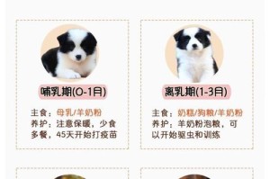 边牧犬的断奶时间及注意事项（边牧犬断奶时间、合适的断奶方式、断奶后的饮食调整）