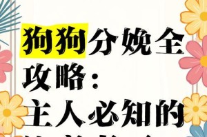 狗狗怀孕期间的照顾与准备（为母犬分娩做好准备，关爱宝宝健康成长）