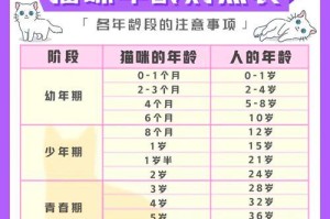 猫咪最新年龄对照表（探究猫咪年龄与人类年龄的差异，解开你家猫咪的年龄之谜）