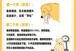 狗狗怀孕到分娩需要的时间和注意事项（狗狗怀孕周期、孕期注意事项及分娩过程概述）