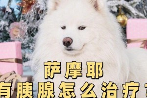 小萨摩耶不能吃的食物（保护小萨摩耶健康的饮食禁忌）