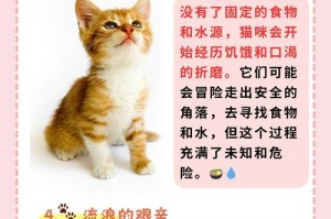 小猫何时离开母猫？（小猫独立生活的时机和过程）