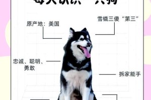 揭秘阿拉斯加犬换毛之谜（了解阿拉斯加犬换毛周期及护理技巧）