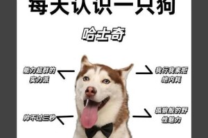 哈士奇的发现之谜（探索哈士奇与狼嚎的奇妙关联）