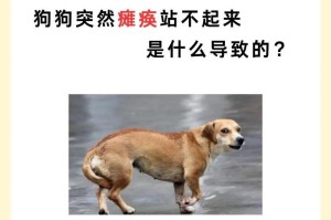 狗后腿无力发抖的原因及治疗方法（探究狗后腿无力发抖的病因，提供相应的治疗建议）