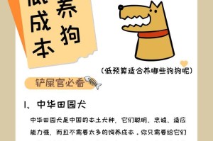 中国犬种大全（探索中国丰富多样的犬种，了解这些迷人品种的特点与历史。）