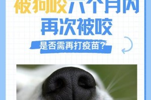 狗狗接种第二次疫苗的最佳时间是什么？（疫苗接种时机对狗狗健康的重要性及影响）