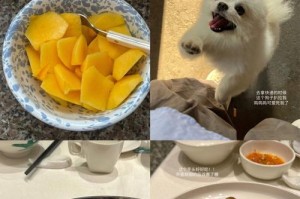 狗中暑急救食谱（让你的宠物远离高温炎炎的威胁）